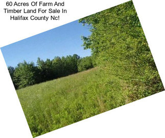 60 Acres Of Farm And Timber Land For Sale In Halifax County Nc!