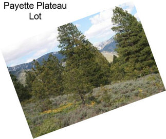 Payette Plateau Lot