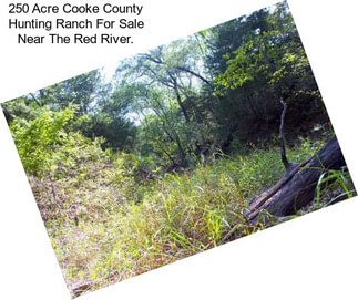 250 Acre Cooke County Hunting Ranch For Sale Near The Red River.