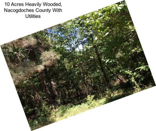 10 Acres Heavily Wooded, Nacogdoches County With Utilities
