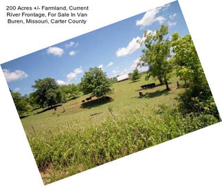200 Acres +/- Farmland, Current River Frontage, For Sale In Van Buren, Missouri, Carter County
