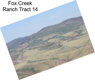 Fox Creek Ranch Tract 14