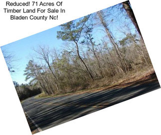 Reduced! 71 Acres Of Timber Land For Sale In Bladen County Nc!