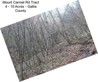 Mount Carmel Rd Tract 4 - 10 Acres - Gallia County