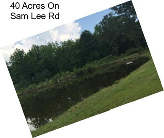 40 Acres On Sam Lee Rd