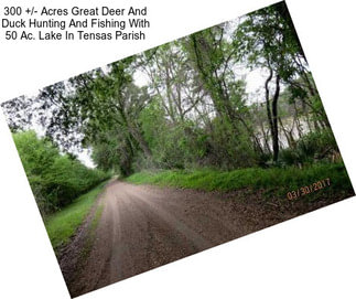 300 +/- Acres Great Deer And Duck Hunting And Fishing With 50 Ac. Lake In Tensas Parish