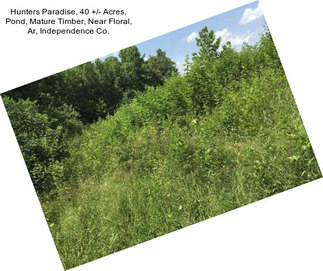 Hunters Paradise, 40 +/- Acres, Pond, Mature Timber, Near Floral, Ar, Independence Co.