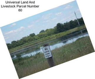 Universal Land And Livestock Parcel Number 60