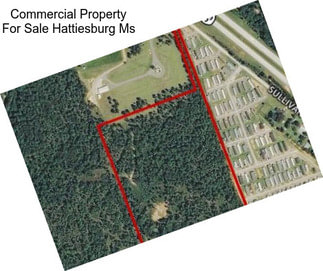 Commercial Property For Sale Hattiesburg Ms