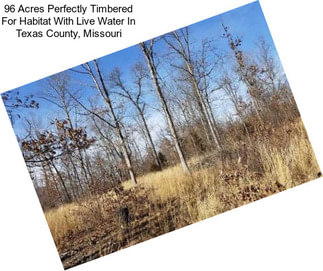 96 Acres Perfectly Timbered For Habitat With Live Water In Texas County, Missouri