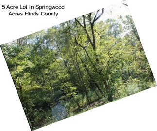 5 Acre Lot In Springwood Acres Hinds County