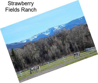 Strawberry Fields Ranch