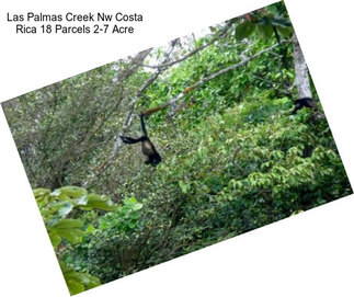 Las Palmas Creek Nw Costa Rica 18 Parcels 2-7 Acre