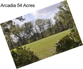 Arcadia 54 Acres