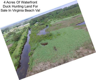 4 Acres Of Waterfront Duck Hunting Land For Sale In Virginia Beach Va!