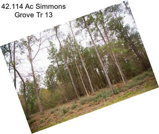 42.114 Ac Simmons Grove Tr 13