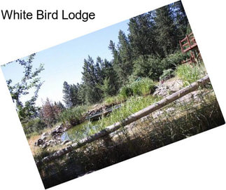White Bird Lodge