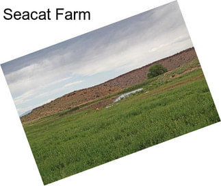 Seacat Farm