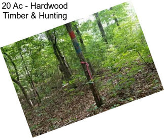 20 Ac - Hardwood Timber & Hunting