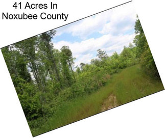 41 Acres In Noxubee County