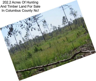 202.2 Acres Of Hunting And Timber Land For Sale In Columbus County Nc!