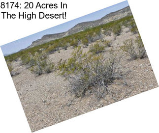 8174: 20 Acres In The High Desert!