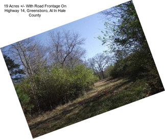 19 Acres +/- With Road Frontage On Highway 14, Greensboro, Al In Hale County