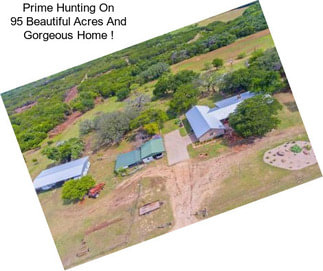 Prime Hunting On 95 Beautiful Acres And Gorgeous Home !
