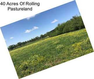 40 Acres Of Rolling Pastureland