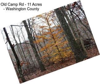 Old Camp Rd - 11 Acres - Washington County