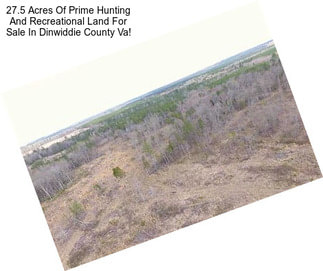 27.5 Acres Of Prime Hunting And Recreational Land For Sale In Dinwiddie County Va!