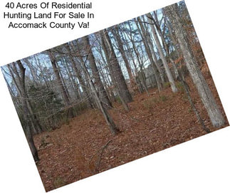 40 Acres Of Residential Hunting Land For Sale In Accomack County Va!