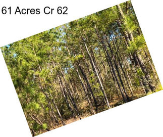 61 Acres Cr 62