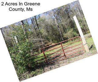2 Acres In Greene County, Ms
