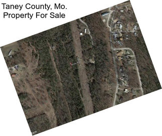 Taney County, Mo. Property For Sale