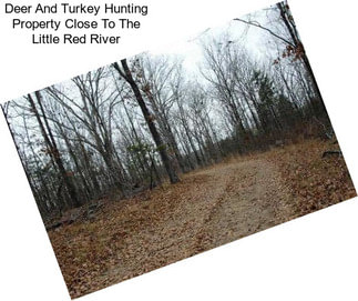 Deer And Turkey Hunting Property Close To The Little Red River