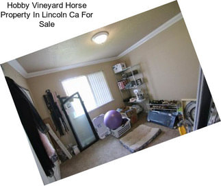 Hobby Vineyard Horse Property In Lincoln Ca For Sale