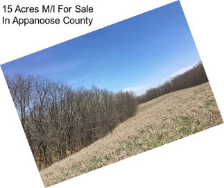 15 Acres M/l For Sale In Appanoose County