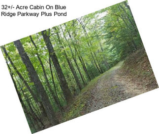 32+/- Acre Cabin On Blue Ridge Parkway Plus Pond