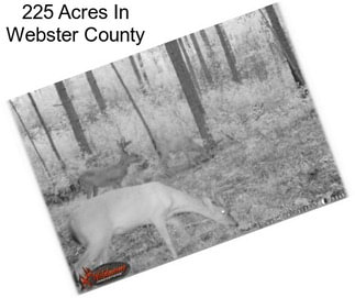 225 Acres In Webster County