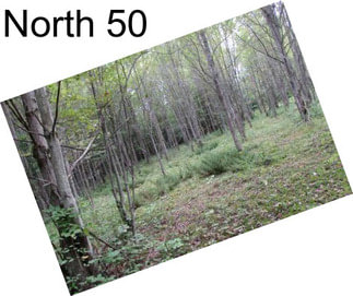 North 50