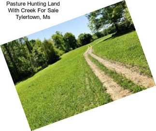 Pasture Hunting Land With Creek For Sale Tylertown, Ms