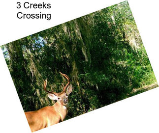 3 Creeks Crossing