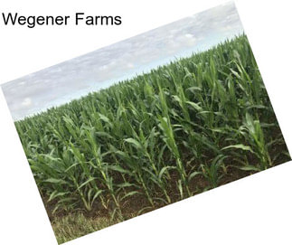 Wegener Farms