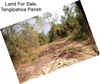 Land For Sale, Tangipahoa Parish