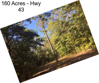 160 Acres - Hwy 43