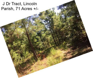 J Dr Tract, Lincoln Parish, 71 Acres +/-