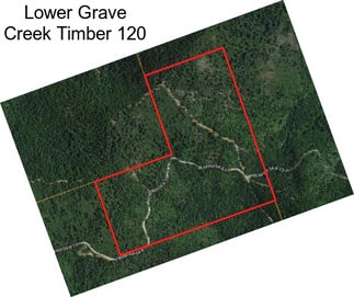 Lower Grave Creek Timber 120