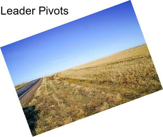 Leader Pivots