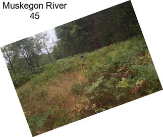 Muskegon River 45